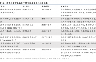 城燃企業(yè)整合大潮再起 “一城一企”成為主流